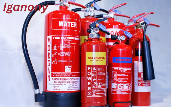 Extinguisher Servicing