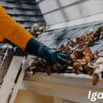 Gutter Cleaning
