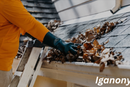 Gutter Cleaning