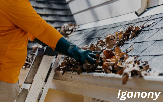 Gutter Cleaning