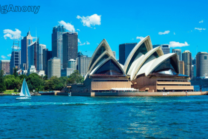market research in Sydney