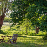 garden makeover ideas