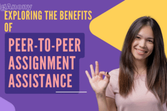 peer-to-peer assignment help services