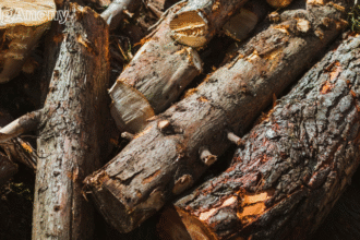 hot-burn hardwood logs