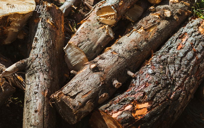hot-burn hardwood logs