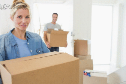 Removals from the UK to New Zealand