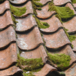 roof cleaning Preston