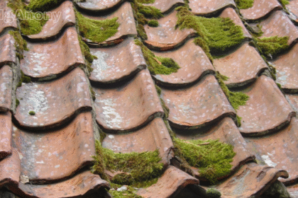 roof cleaning Preston